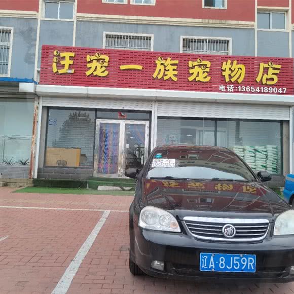 汪宠一族宠物店:沈阳市辽中区