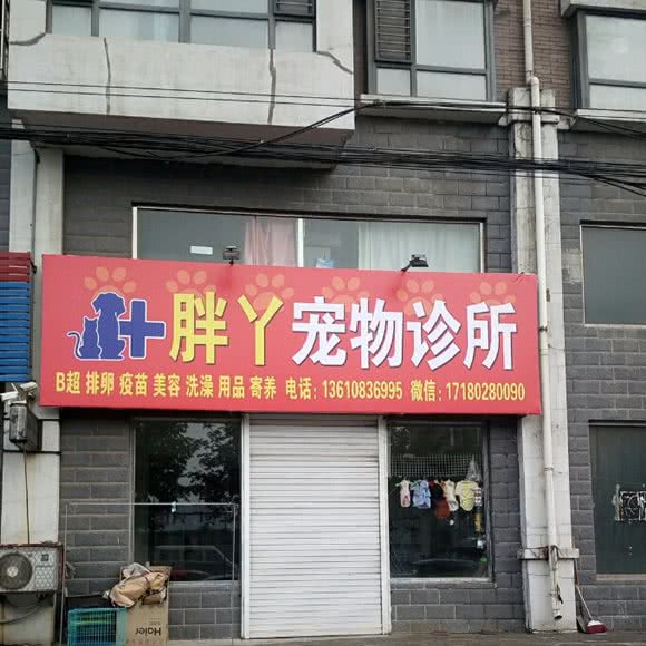 瘦丫宠物诊所:沈阳市辽中区
