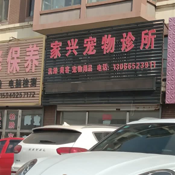 家兴宠物诊所:沈阳市辽中区