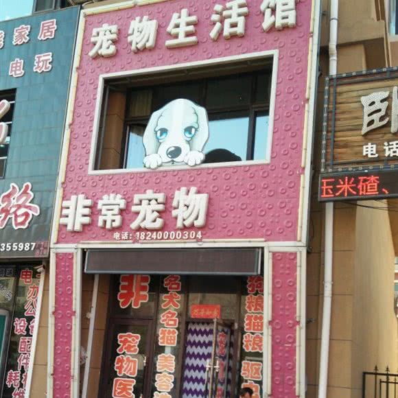 非常宠物宠物生活馆:沈阳市康平县