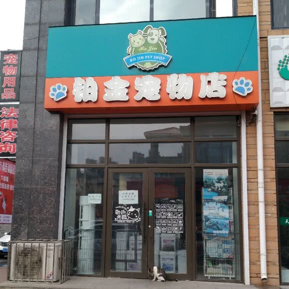 铂金宠物店:沈阳市法库县