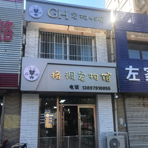 格调宠物馆:沈阳市新民市
