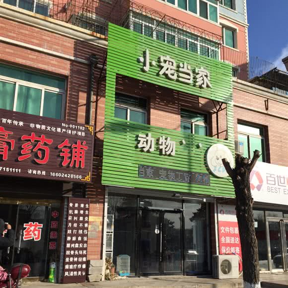 小宠当家(新华路店):沈阳市新民市