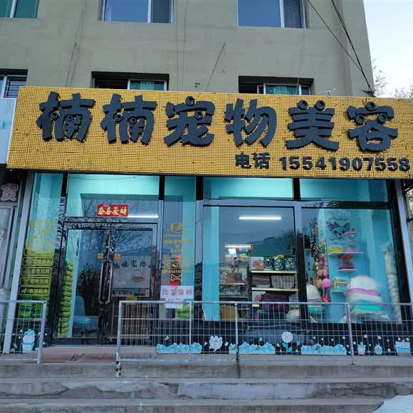 楠楠宠物美容:沈阳市新民市