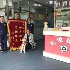 我爱我宠宠物医院:沈阳市新民市