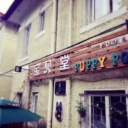 宝贝堂宠物:大连市中山区