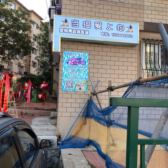 当猫爱上狗:大连市中山区