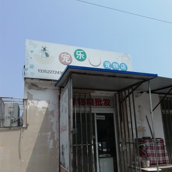 宠乐缘咖啡店:大连市中山区