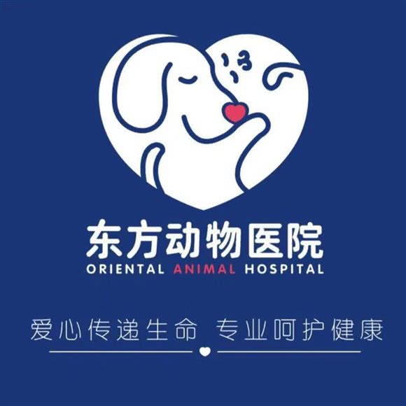 朔州东方熊猫动物医院:太原市小店区体育路附近