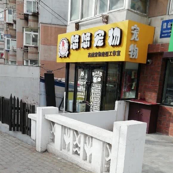 悠悠宠物高端宠美工作室:大连市西岗区
