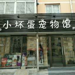 小坏蛋宠物馆:大连市西岗区