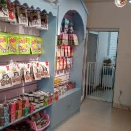 一只狗宠物店:大连市沙河口区