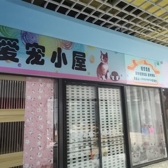 爱宠小屋:大连市沙河口区