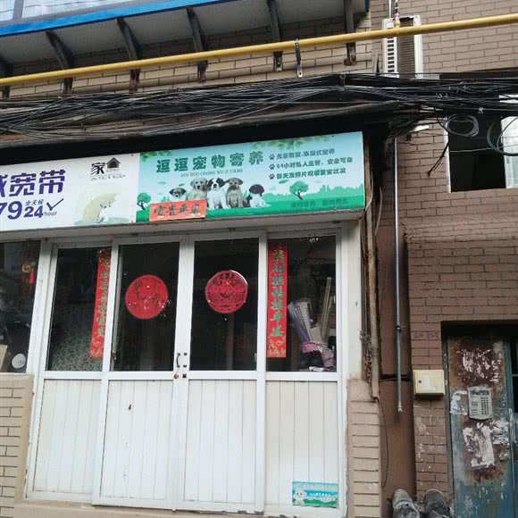逗逗宠物寄养:大连市沙河口区