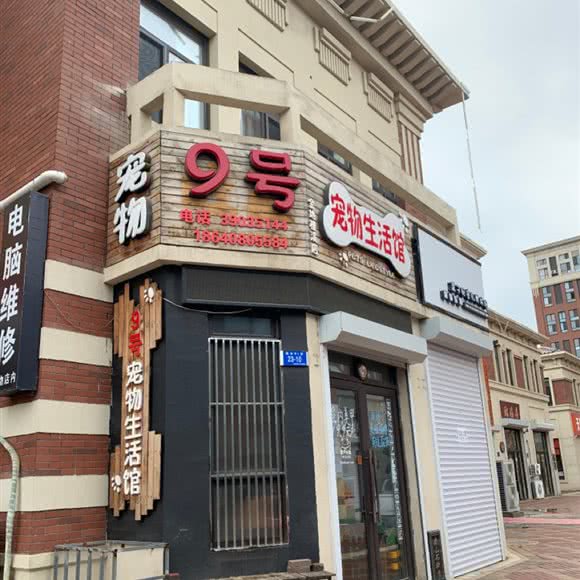 9号宠物生活馆(金地檀溪店):大连市甘井子区