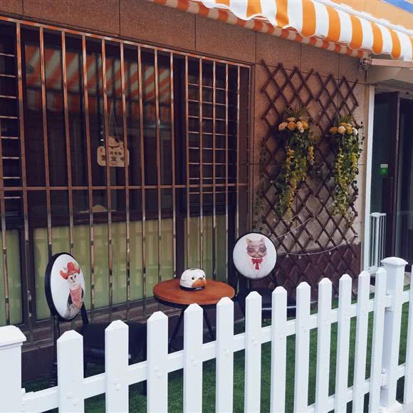 沐美阁宠物生活馆:大连市甘井子区