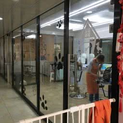 宠时光:大连市甘井子区