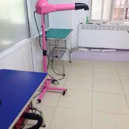 乐宠宝宝宠物店:大连市甘井子区