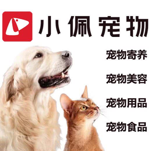 PETKIT小佩宠物(松江路店):大连市甘井子区