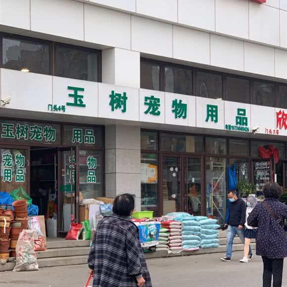 玉树宠物用品:大连市甘井子区