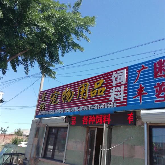 竞胜宠物用品:大连市甘井子区
