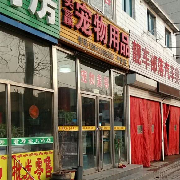 奕嬴宠物用品(中革店):大连市甘井子区