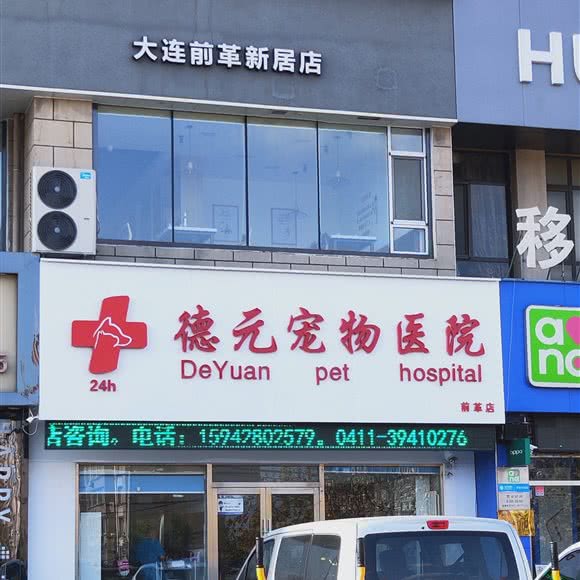 德元宠物医院(前革店):大连市甘井子区