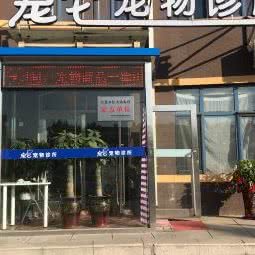 宠它宠物诊所:大连市甘井子区