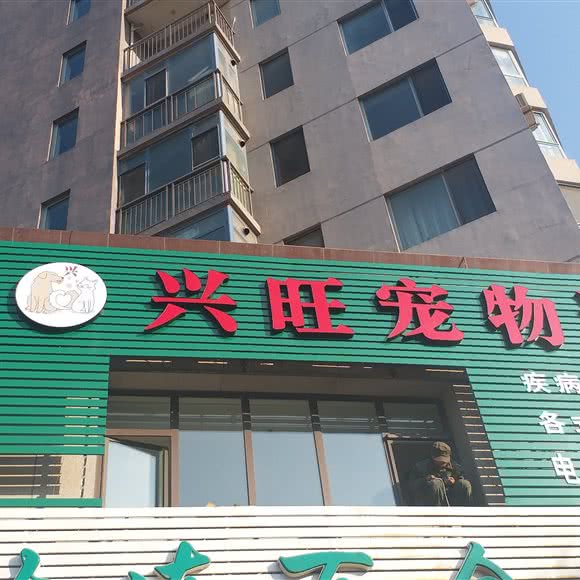 兴旺宠物狗诊所:大连市甘井子区