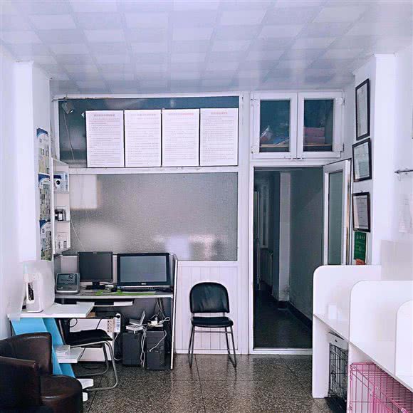 阳光宠物诊所:大连市甘井子区