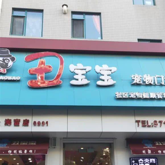 丑宝宝宠物门诊:大连市甘井子区
