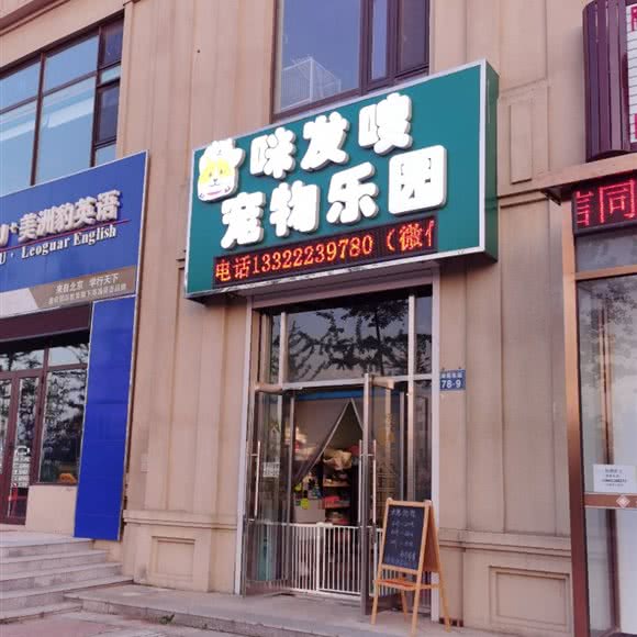 咪发嗖宠物乐园:大连市金州区