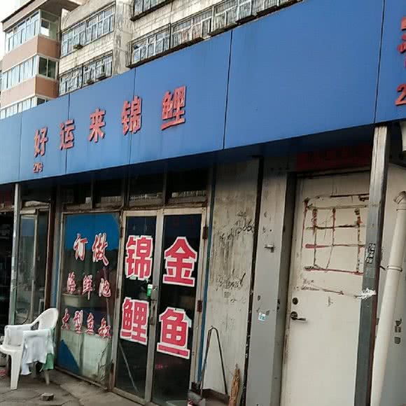 好运来:太原市小店区长风街附近