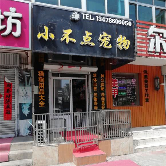 小不点宠物:大连市普兰店区