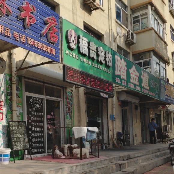 富贵宠物(南山店):大连市普兰店区