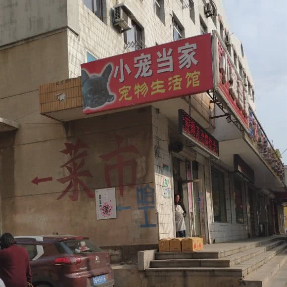 小宠当家宠物店:大连市普兰店区