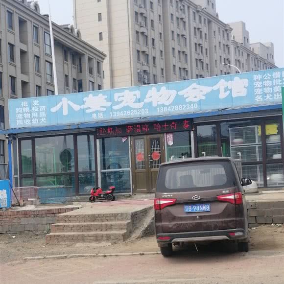 小姜宠物会馆:大连市普兰店区