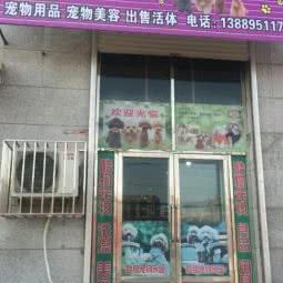 酷狗宠物狗乐园:大连市瓦房店市