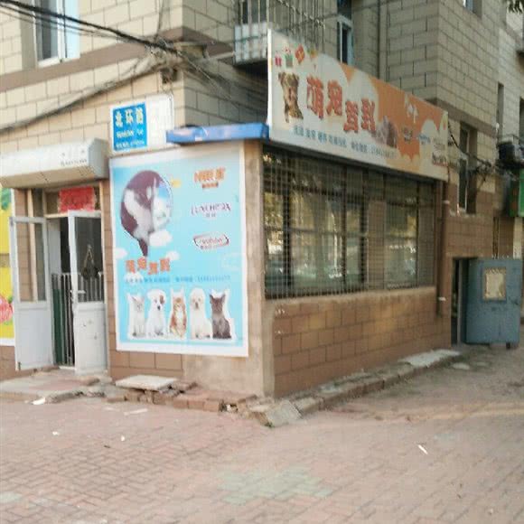 萌宠驾到:大连市瓦房店市
