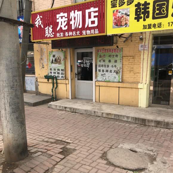 我聪宠物店:大连市瓦房店市