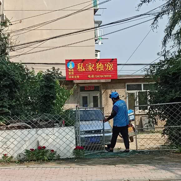 私家独宠:大连市庄河市