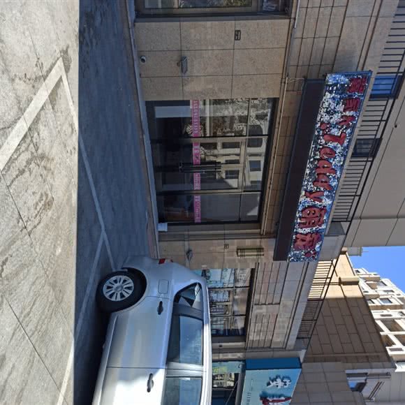 翼家Teddy萌宠:大连市庄河市