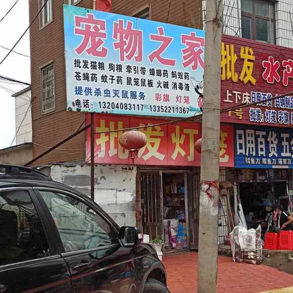 宠物之家(红岩路店):大连市庄河市