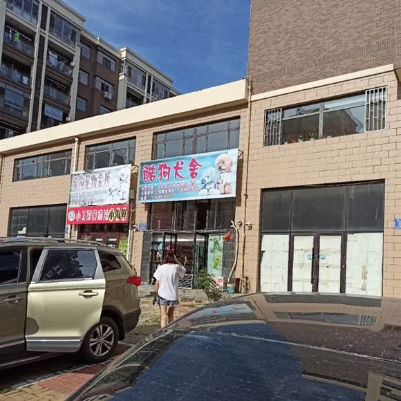 酷狗犬舍:大连市庄河市