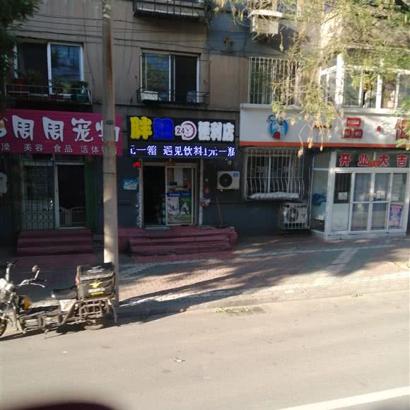 周周宠物:鞍山市铁东区