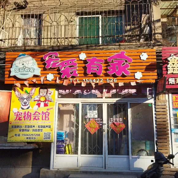 宠爱有家:鞍山市铁西区