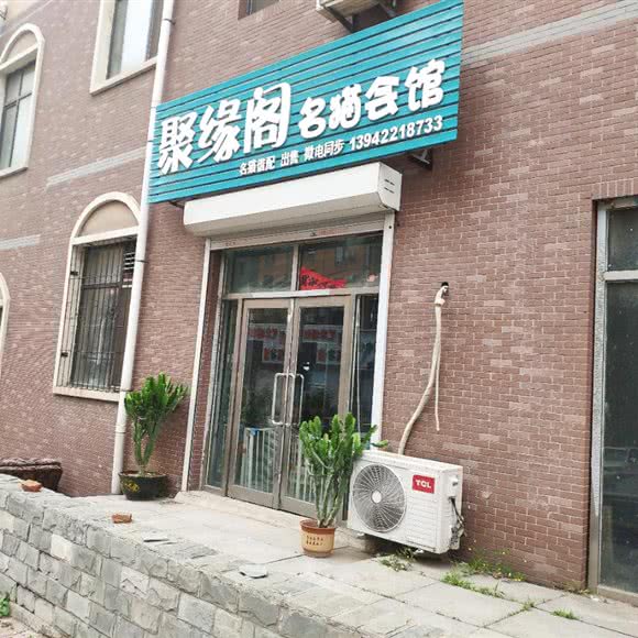 聚缘阁名猫会馆:鞍山市立山区