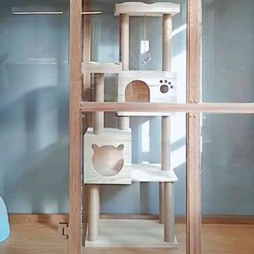 猫托托猫咪酒店·寄养(北苑店):北京城区朝阳区北苑家园附近