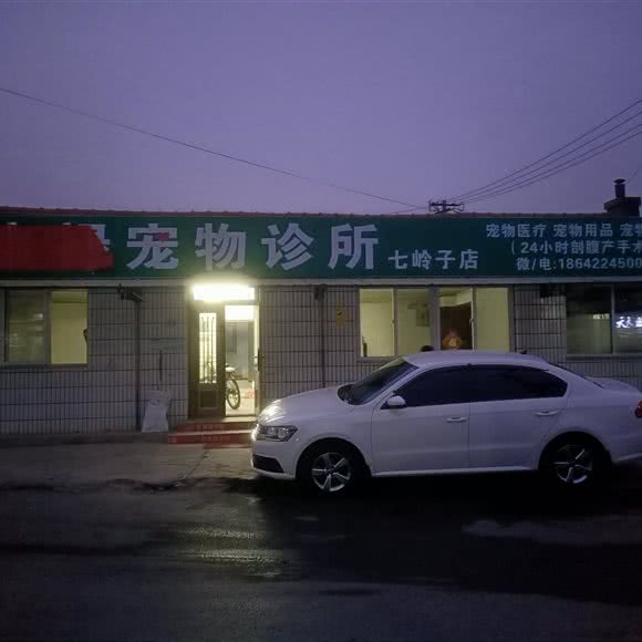 康禄宠物诊所:鞍山市立山区