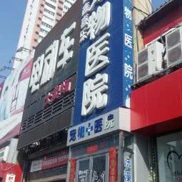 喜乐宠物医院:太原市小店区省体育中心附近